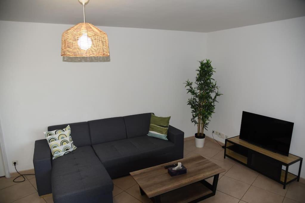 Proche Montpellier, T3, 2 Chambres, Parking, Tram 卡斯泰尔诺勒莱 外观 照片